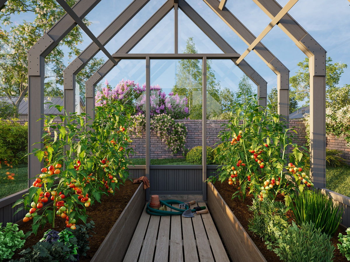 Glasshouse Emilia 5.4 m² (RAL7012)